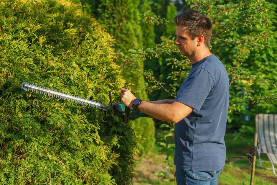 Landscaping and hedge trimming